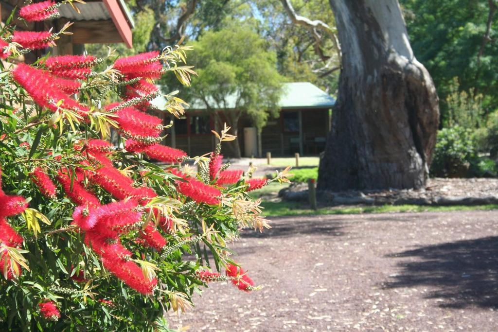 Southern Grampians Cottages Dunkeld Kültér fotó