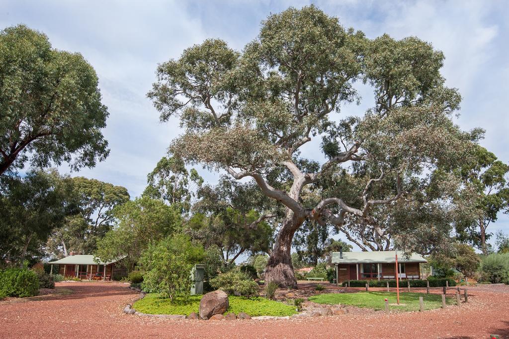 Southern Grampians Cottages Dunkeld Kültér fotó